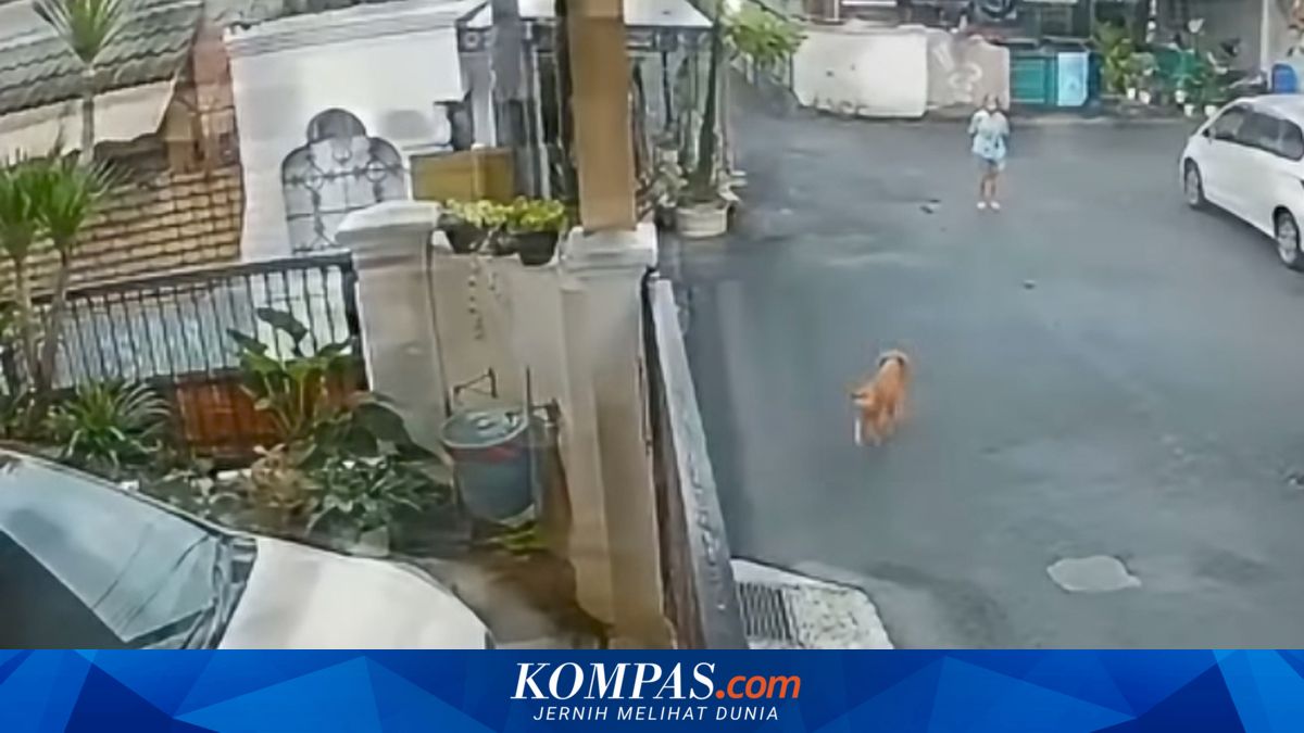 Lansia Digigit Anjing Saat Jalan Kaki di Duren Sawit Jaktim, Luka di Kaki Kanan