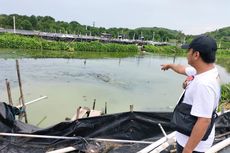 Dianggap Mencemari Lingkungan, Polisi Temukan Pelanggaran di Tambak Udang Pulau Karimunjawa