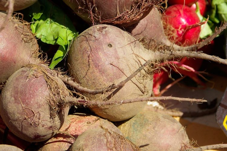 Ilustrasi buah bit, buah bit merah.