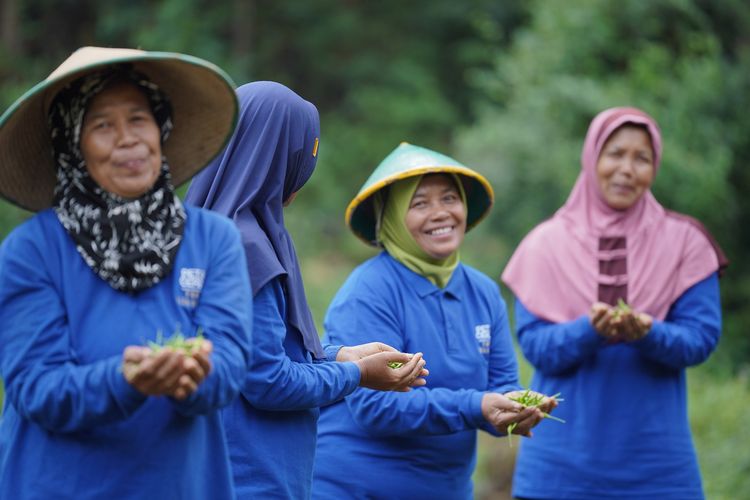 Para ibu-ibu petani di Dusun Temon, Kabupaten Gunungkidul, Daerah Istimewa Yogyakarta, bersama  Yakkum Emergency Unit mbangun enam tandon besar di puncak bukit yang menampung ribuan liter air hujan setiap musim. Cara ini bisa mengatasi masalah kekeringan di daerah tersebut.