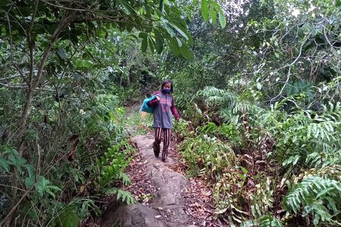Kisah Guru Honorer di Samarinda, 11 Tahun Jalan Kaki Susuri Hutan demi Mengajar