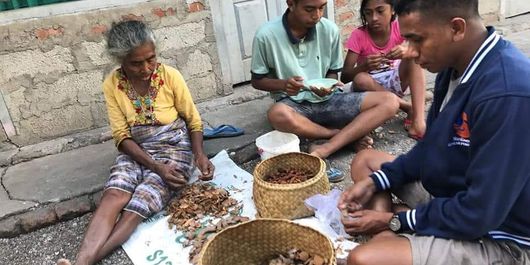 Margaretha Hati Manhitu (78), ibu kandung Bupati Timor Tengah Utara (TTU) Raymundus Sau Fernandez, tengah mengupas buah asam bersama dua orang cucu dan seorang kerabatnya