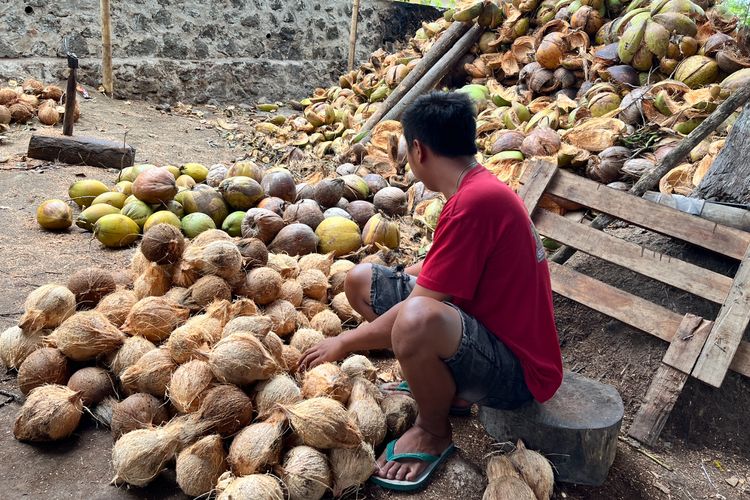 Kemarau Panjang, Pasokan Kelapa di Pangandaran Turun Drastis 
