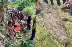 Malaysia Tembak Mati Buaya yang Makan Pekerja Asal Indonesia di Sabah, Bagaimana Prosesnya?