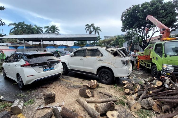 Sebuah pohon tumbang dan menimpa dua mobil di halaman RS Pelni, Palmerah, Jakarta Barat, pada Kamis (23/12/2021). 