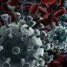 7 Jenis-jenis Virus yang Menular dan Kerap Menyerang Manusia
