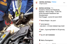 Video Piton Bersarang di Ruang Mesin Mobil, Begini Tips Mencegah