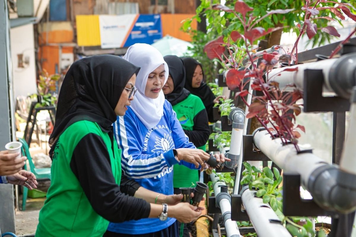 Budi daya tanaman hidroponik Kelompok PKK RW 02, Kelurahan Rawa Barat, Kebayoran Baru, Jakarta Selatan. 