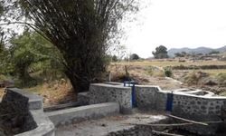 Berkat Dam Parit, Indeks Pertanian dan Luas Areal Tanam di Sumbawa Meningkat