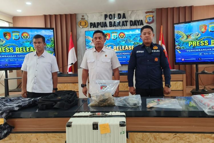 WN China Jadi Tersangka Perburuan Penyu Sisik di Raja Ampat, 2 Rekannya Masuk DPO