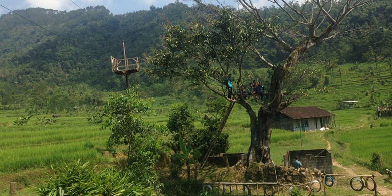 Desa Wisata di Sepakung, Kecamatan Banyubiru, Kabupaten Semarang, Jawa Tengah, Minggu (13/5/2018). 