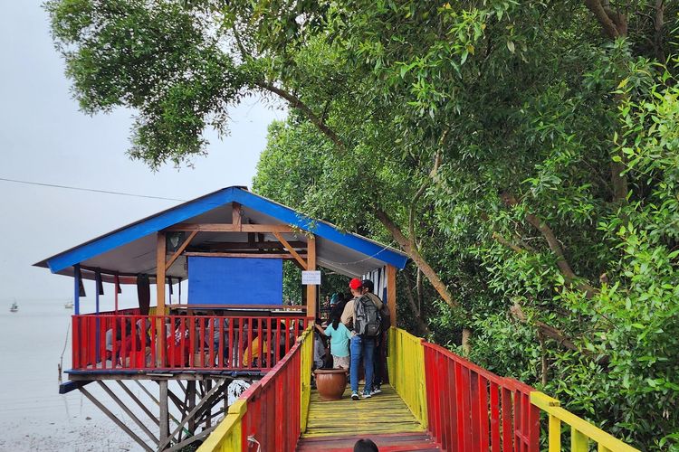 Tempat wahana baca di wisata bahari hutan mangrove di Kelurahan Tamba'an Kecamatan Panggungrejo Kota Pasuruan, Senin (27/01/2025) 