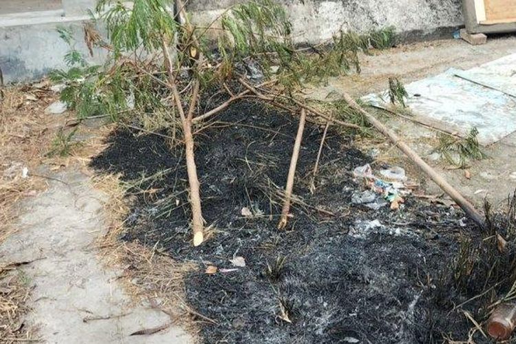 JLNT Pluit, Penjaringan, Jakarta Utara kini dijadikan tempat bakar sampah.