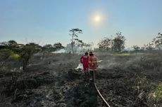 Lahan Seluas 2,6 Hektar di Perumahan Cilacap Terbakar, Sumber Api Diduga dari Puntung Rokok
