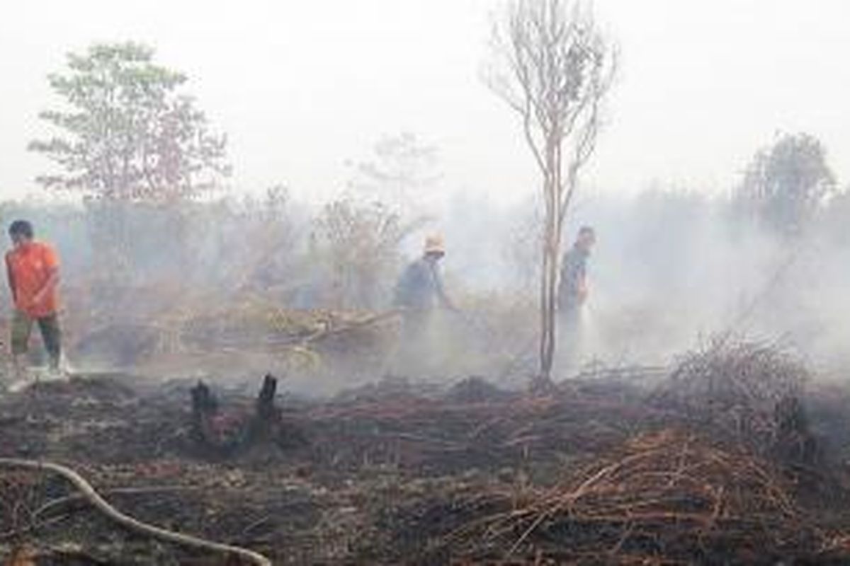 Tim dari Balai Konservasi Sumber Daya Alam Jambi memadamkan api di perkebunan sawit Kelompok Tani Seiyo Sekato di Desa Gambut Jaya, Kecamatan Sungai Gelam, Kabupaten Muaro Jambi, Rabu (8/7). Kebakaran di kawasan ini belum dapat dikendalikan sejak api muncul pada awal Juli dari hutan negara di sekitar kebun. Kebakaran telah meluas menjadi sekitar 160 hektar.