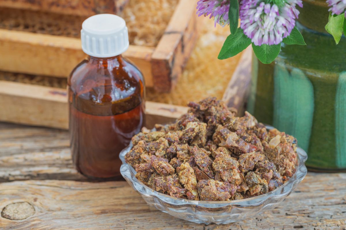 Ilustrasi propolis mentah dan ekstrak propolis.