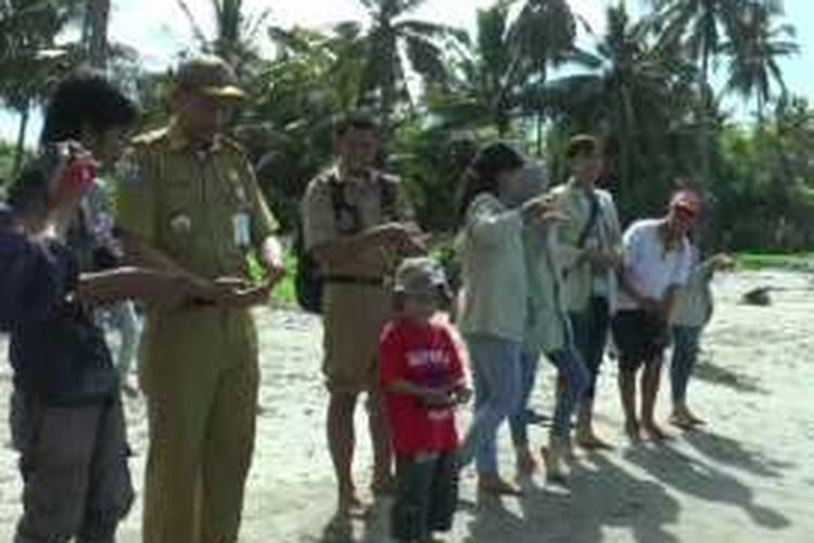 Setelah menangkarkan ribuan ekor anak penyu secara alami, Yusri, aktivis pencinta lingkungan dan habitat penyu, bersama warga melepas secara simbolis ribuan anak penyu ke lkepas, Pantai Mampie, Polewali Mandar, Sulawesi Barat, Kamis (14/7/2016).