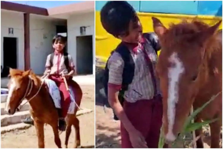 Shivraj, seorang bocah asal Madhya Pradesh, India, yang menjadi viral setelah menunggangi seekor kuda untuk berangkat sekolah.