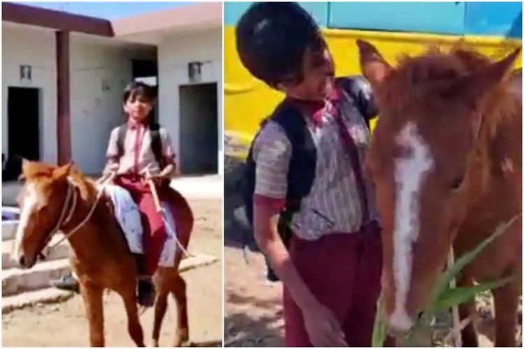 Shivraj, seorang bocah asal Madhya Pradesh, India, yang menjadi viral setelah menunggangi seekor kuda untuk berangkat sekolah.(India.com)