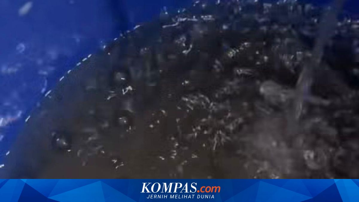 Update Viral Air PDAM di Sukoharjo Hitam dan Berjentik, Petugas Turun ...