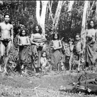 Ilustrasi Suku Kubu Jambi