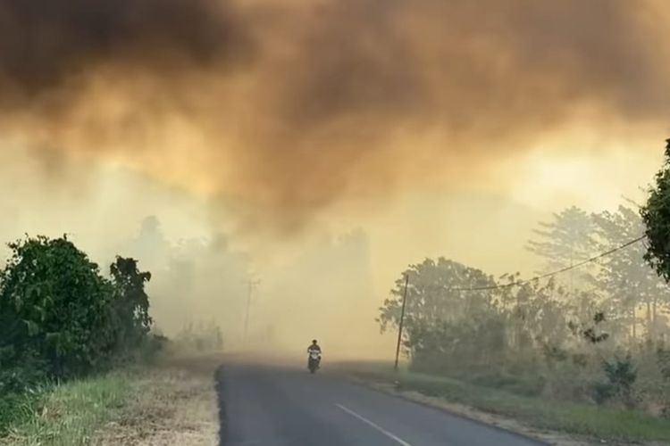 Media Asing Soroti Dampak Karhutla Indonesia ke Malaysia, Singapura, dan Filipina