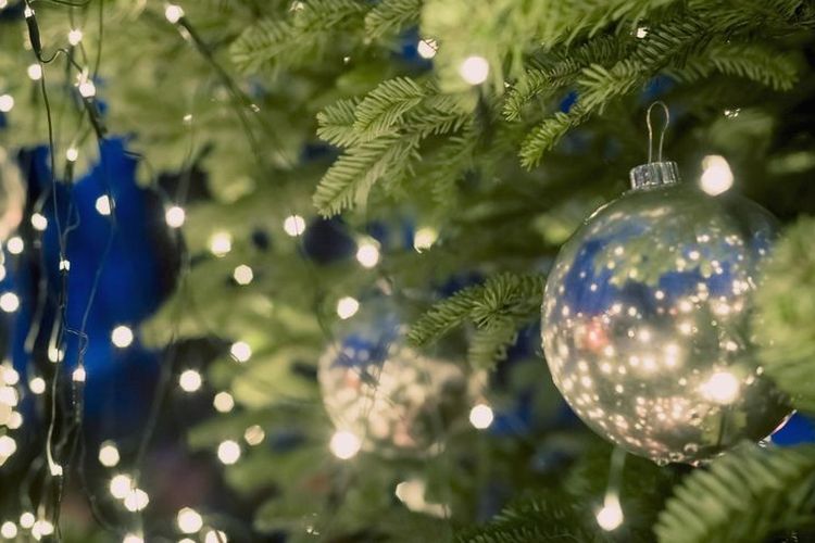 Cara Mudah Pasang Lampu  Pohon Natal