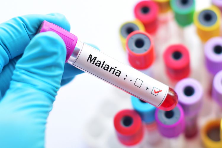 Ilustrasi penyakit malaria.