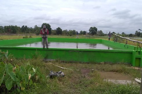 Penuhi Kebutuhan Pangan Nasional, Program Cetak Sawah Harus Dilakukan