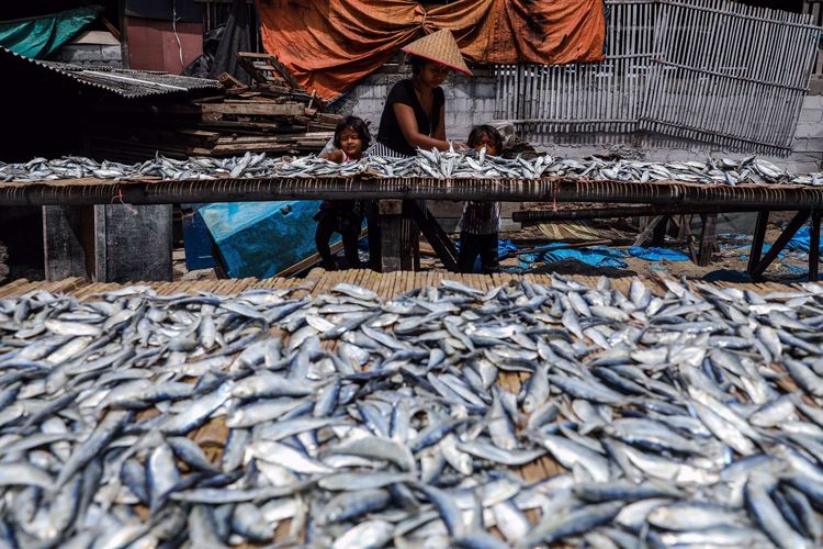 Workers flatten fish being dried in the sun at the fish processing center, Muara Angke, North Jakarta, Thursday (22/10/2020). The price of a number of salted fish commodities has increased due to decreasing supply and the arrival of the rainy season which lengthens the drying time for fish.