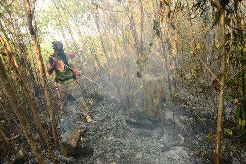 Agustus-September 2019, Titik Api Terbanyak Ada di Kalteng