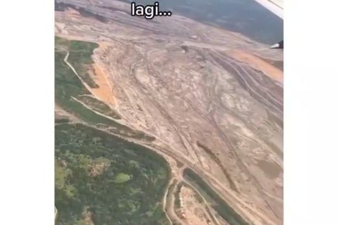 Viral Video Hutan Gundul di Berau Diduga Aktivitas Tambang Batu Bara 