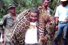 Bunuh 1.000 Ekor Jaguar Secara Ilegal, Dokter Gigi Brasil Ditangkap