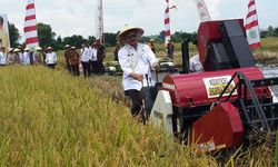 Hadapi Covid-19 dan Lebaran, Konstratani Kawal Panen Raya untuk Jaga Ketersediaan Pangan