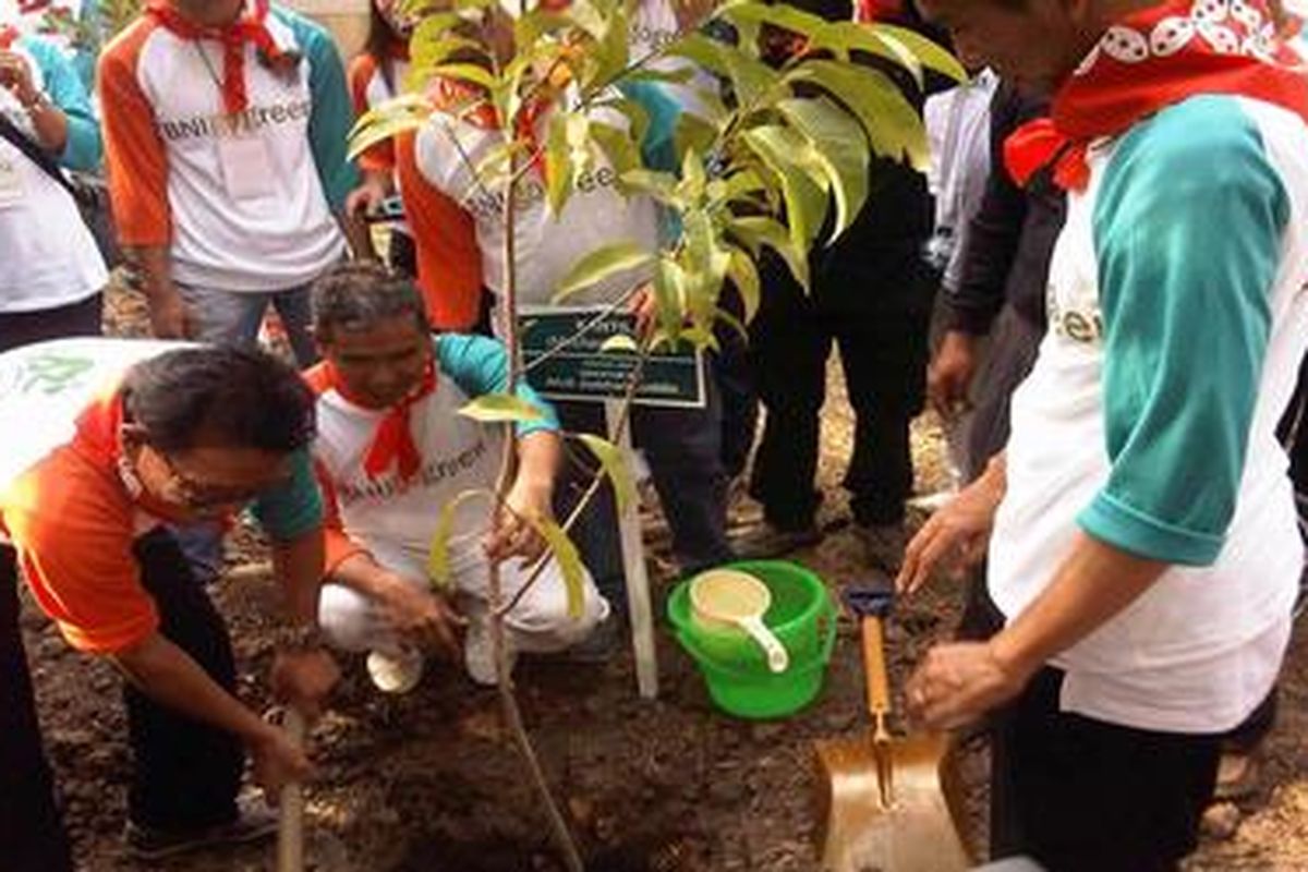 Pembangunan hutan kota di Stadion Manahan, Solo, Jawa Tengah, oleh Bank BNI, Minggu (30/9/2012), ditandai dengan penanaman pohon-pohon langka dan pohon khas daerah setempat.