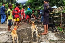 Kementerian Pertanian Kendalikan Penyakit Rabies di NTT