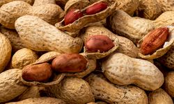 Limbah Kulit Kacang Bisa Jadi Material Terkuat di Bumi, Baik untuk Alat Elektronik