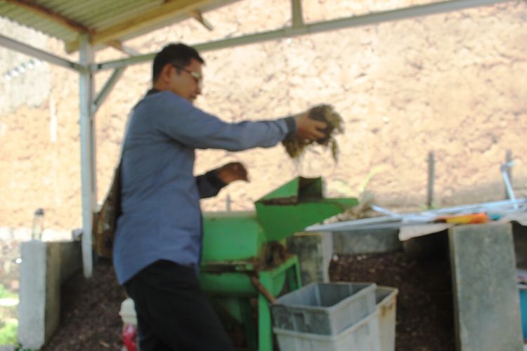 Proses pengolahan sampah organik menjadi kompos yang dikembangkan SMPI Cendekia Cianjur