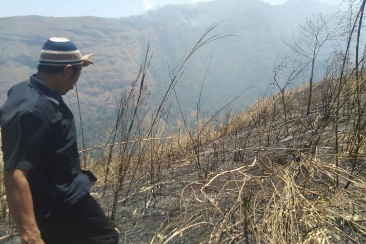 Warga Carang Wulung, Wonosalam, Jombang, Jawa Timur, saat mengecek kondisi bekas kebakaran di puncak Gunung Anjasmoro, Senin (21/10/2019).