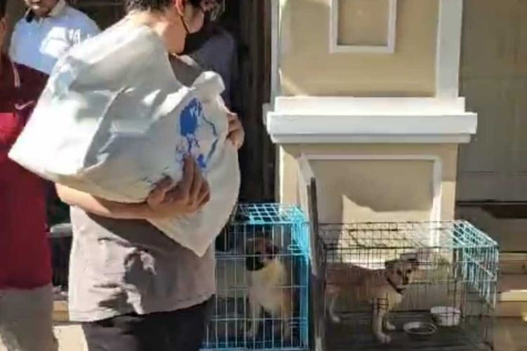 Tangkapan layar video penangkapan Ronald Tannur.