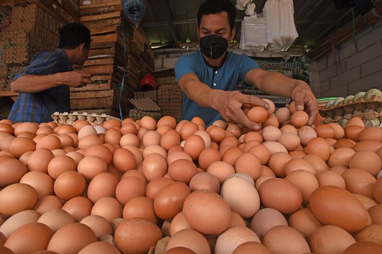 Pedagang memilih telur ayam di Pasar Lama Kota Serang, Banten, Senin (22/8/2022). Menurut pedagang, sejak awal pekan lalu harga telur ayam naik naik dari Rp27 ribu menjadi Rp32 ribu per kilogram akibat melonjaknya permintaan. ANTARA FOTO/Asep Fathulrahman/hp.