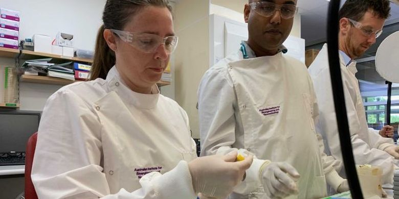 Peneliti Queensland adalah satu dari tiga tim di seluruh dunia yang mengerjakan vaksin virus corona.
