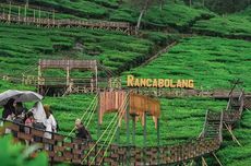 3 Wisata Bukit di Ciwidey, Destinasi "Healing" di Akhir Pekan