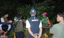 BKSDA Sumbar Pasang Kandang Jebak, Tangani Serangan Beruang di Talamau