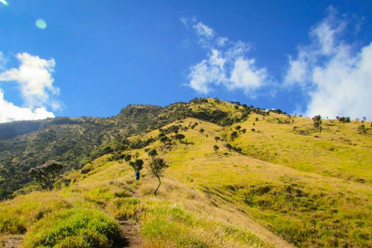 Pemandangan terbuka di jalur Bowongso Gunung Sumbing, Wonosobo, Jawa Tengah.