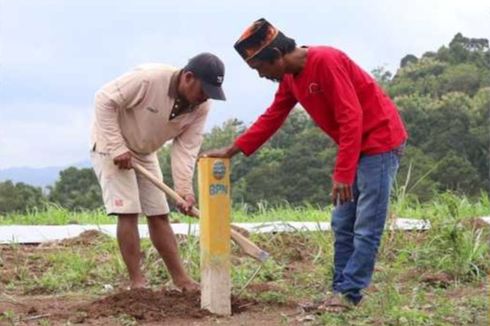 Jangan Salah, Ini Ragam Bentuk dan Bahan Patok Tanah Sesuai Standar