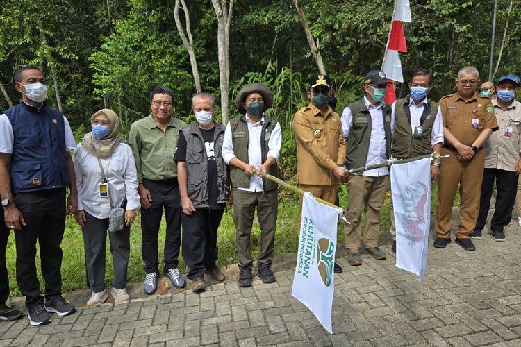 Menteri Kehutanan Raja Juli Antoni didampingi Gubernur Kalimantan Timur Rudy Mas'ud, Kepala BKSDA Kalimantan Timur Ari Wibawanto, Deputi Lingkungan Hidup dan Sumber Daya Alam Otorita IKN Myrna Asnawati Safitri, dan Deputi Pengendalian Pembangunan Otorita IKN Thomas Umbu Pati melepasliarkan enam individu orangutan, di Kawasan Lindung IKN Samboja Lestari, Kutai Kartanegara, Selasa (22/4/2025).