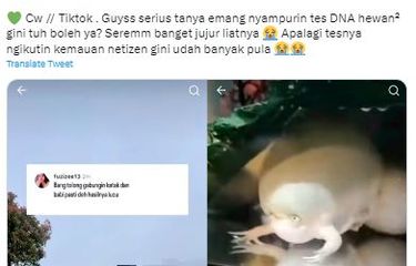 Viral, Unggahan soal Gabungkan DNA Hewan-hewan Berbeda Bentuk ...