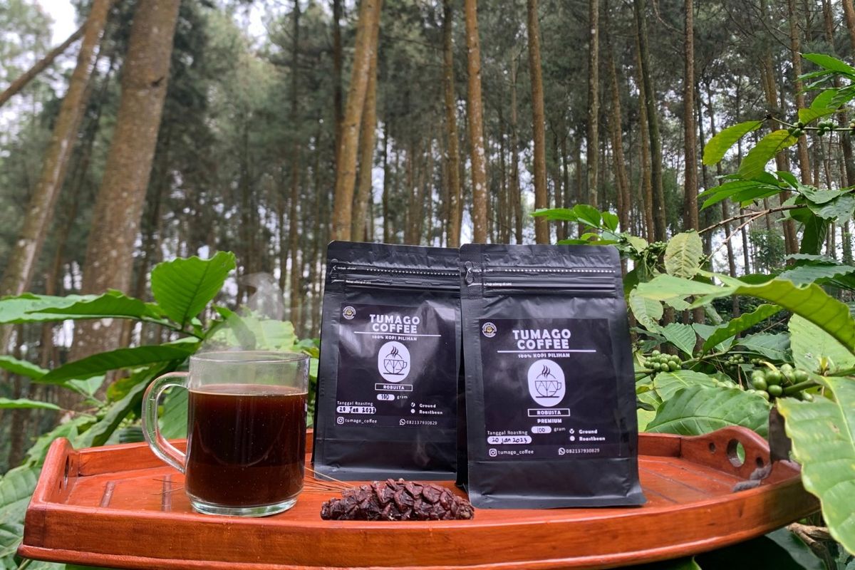 Kopi lokal Temanggung bernama Tumago hasil rebranding mahasiswa KKN Universitas Sanata Dharma (USD) di Desa Jlegong, Kecamatan Bejen, Temanggung, Jawa Tengah.