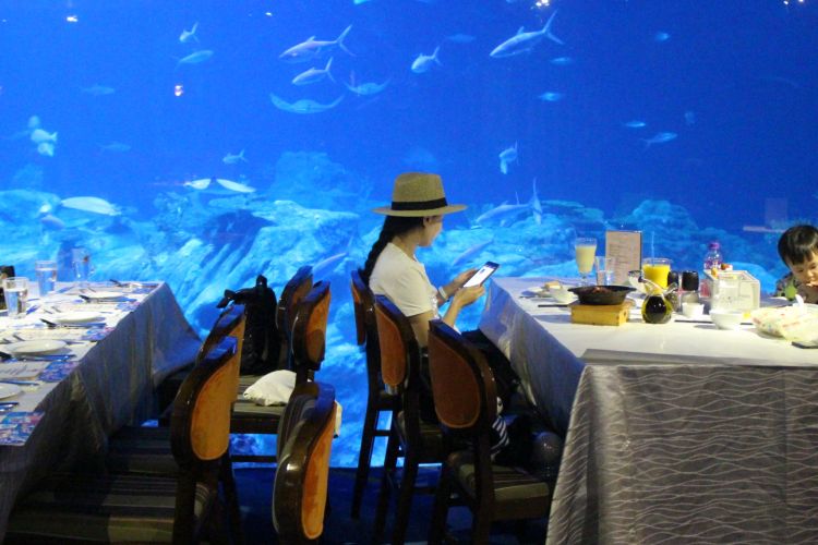 Restoran Neptune dengan pemandangan The Grand Aquarium di Ocean Park Hongkong, Kamis (18/5/2017).